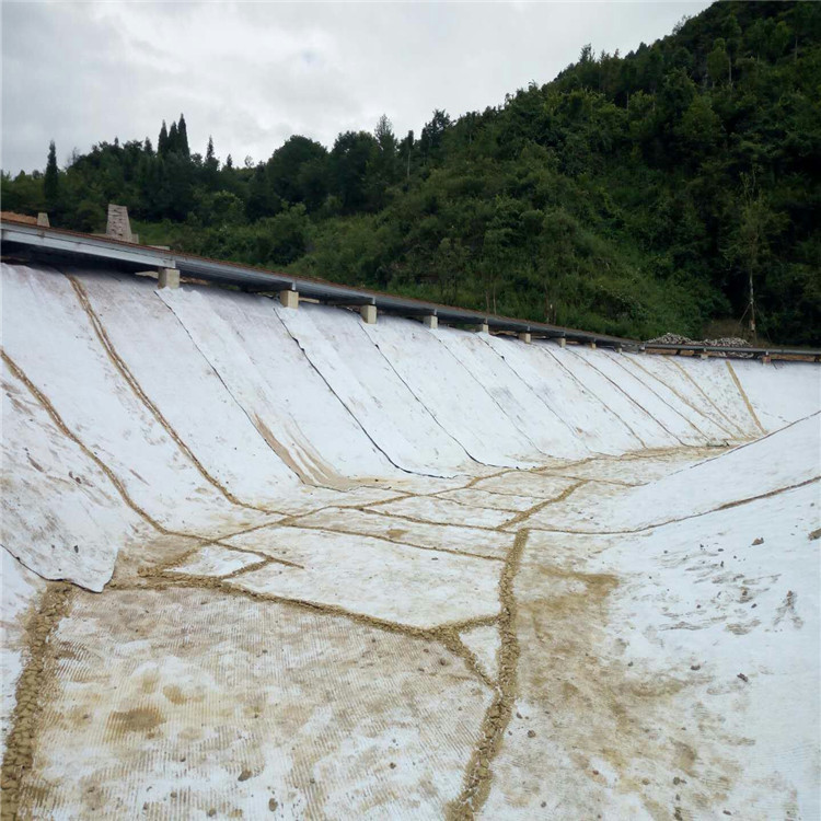 天然鈉基膨潤土防水毯